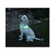 Led verlichtingsbuis voor de hond met usb aansluiting - 3 - Thumbnail