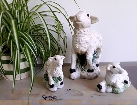 Beeld/beelden van een schaap en lammeren/lammetjes (schapen) - 0