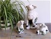 Beeld/beelden van een schaap en lammeren/lammetjes (schapen) - 0 - Thumbnail