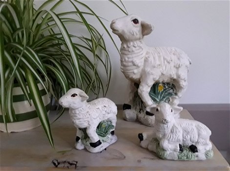 Beeld/beelden van een schaap en lammeren/lammetjes (schapen) - 1