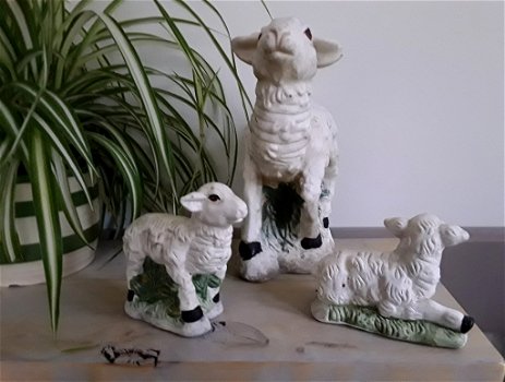 Beeld/beelden van een schaap en lammeren/lammetjes (schapen) - 3