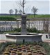 Franse dorpsfontein fonteinen tuinfontein - 2 - Thumbnail