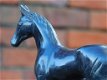 beeld van een paard - 1 - Thumbnail