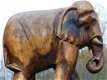 olifant ,thijs , hout - 0 - Thumbnail