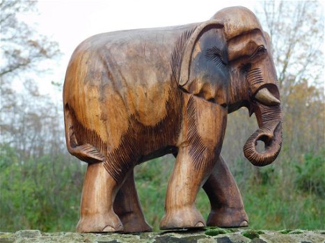 olifant ,thijs , hout - 1