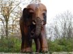 olifant ,thijs , hout - 2 - Thumbnail