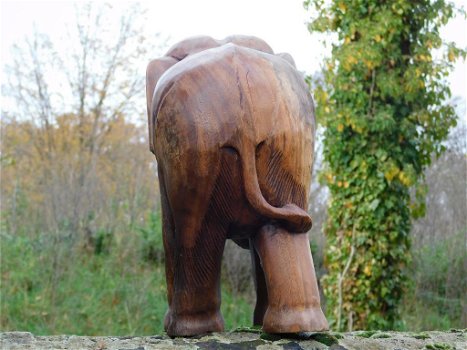 olifant ,thijs , hout - 3