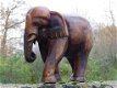 olifant ,thijs , hout - 6 - Thumbnail