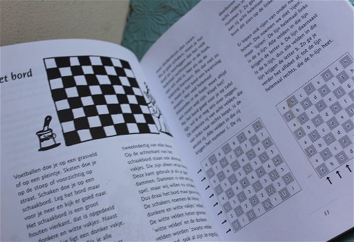 Mat! Het eerste schaakboek - 2