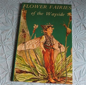 Flower Fairies of the Wayside - 0