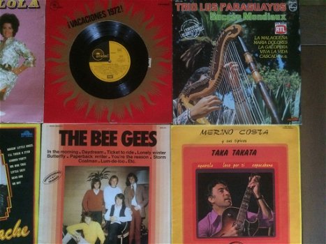 Vinyl lp, allerlei: Plastic Bertrand, The Bee Gees, Zwarte Lola, Vlaams e.a. - 2