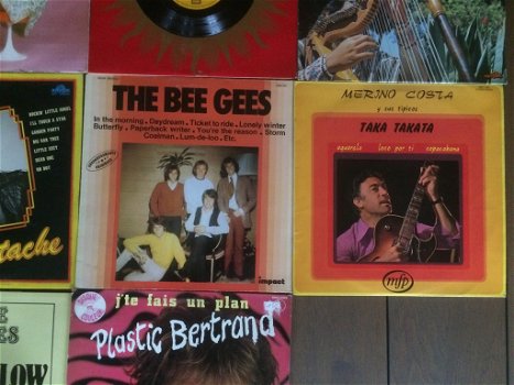 Vinyl lp, allerlei: Plastic Bertrand, The Bee Gees, Zwarte Lola, Vlaams e.a. - 3