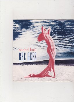 Single The Bee Gees - Secret love - 0