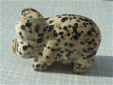 Varken van Dalmatier jaspis