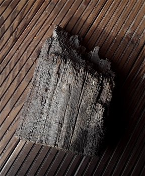Oerhout / heel oud hout afkomstig van een oerbos - 3