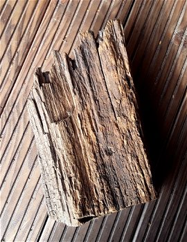 Oerhout / heel oud hout afkomstig van een oerbos - 4