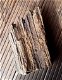 Oerhout / heel oud hout afkomstig van een oerbos - 4 - Thumbnail