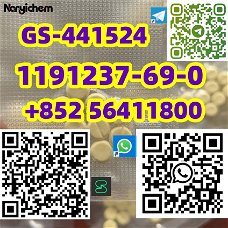 CAS 1191237-69-0 GS-441524