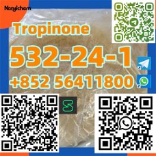 CAS 532-24-1 Tropinone