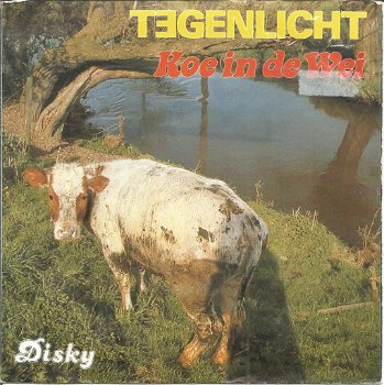 Tegenlicht – Koe In de Wei (1985) - 0