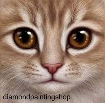 Diamond painting cat - 0