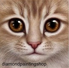 Diamond painting cat