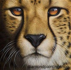 Diamond painting lion 3