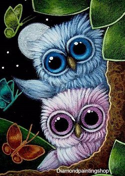 Diamond painting owls butterflies - 0