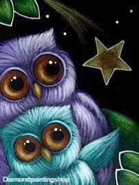 Diamond painting owls star