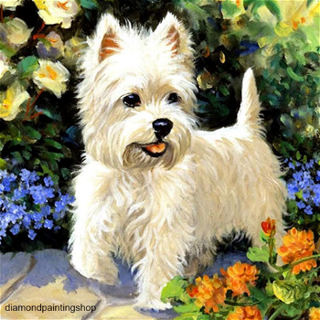 Diamond painting dog XL - 0