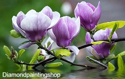 Diamond painting purple magnolia - 0