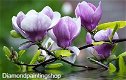 Diamond painting purple magnolia - 0 - Thumbnail