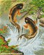 Diamond painting fish XL - 0 - Thumbnail