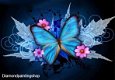 Diamond painting blue butterfly XL - 0 - Thumbnail