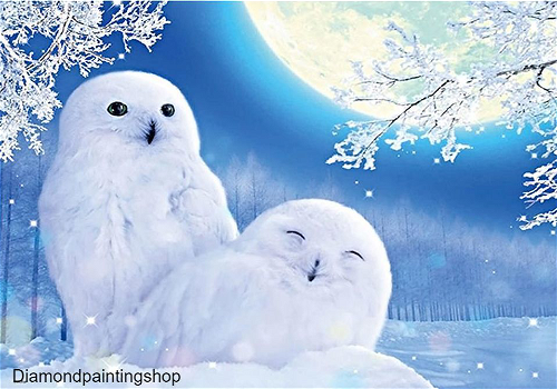 Diamond painting white owls XL - 0