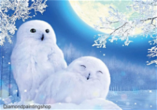 Diamond painting white owls XL