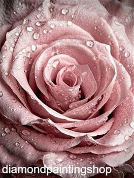 Diamond painting rose XL - 0