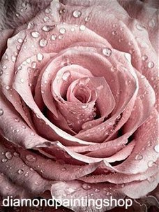Diamond painting rose XL