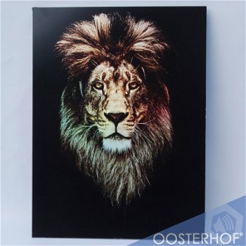 Leeuw met Glitter Effect op Aluminium - 65 x 76 cm - 0