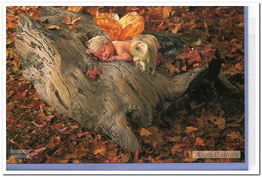 Wenskaart met enveloppe: Anne Geddes (1997): Woodland Fairy - 0