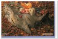 Wenskaart met enveloppe: Anne Geddes (1997): Woodland Fairy - 0 - Thumbnail