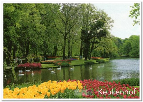 Ansichtkaart: De keukenhof - 0