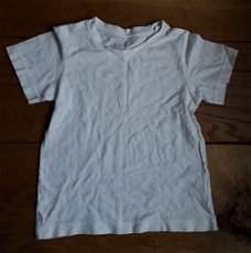 Shirt / t-shirt