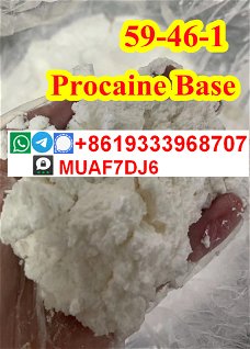 Good quality Procaine base CAS59–46–1 for sale holland