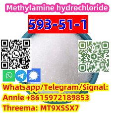 good price fast delivery CAS 593-51-1 Methylamine hydrochloride