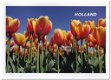 Ansichtkaart: Tulpen - 0 - Thumbnail