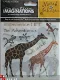 creative imaginations rub-on (4 vel) safari - 0 - Thumbnail