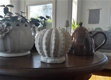 Decoratieve bol/bloem/cactus voor binnen of buiten (beton)