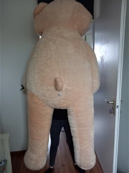 Mooie grote zachte knuffelbeer / beer van 2 meter! - 1