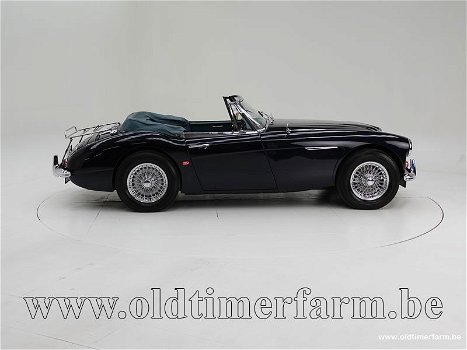 Austin Healey 3000 MK II A '63 CH3145 - 2